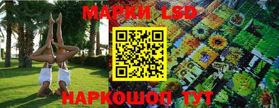 гидропоника Ставрополь