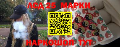 гидропоника Ставрополь