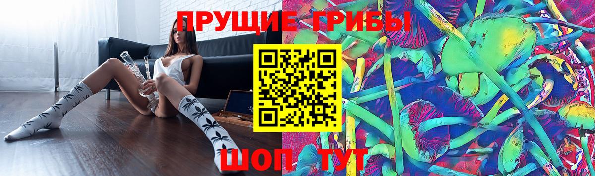 Галлюциногенные грибы мицелий Кыштым